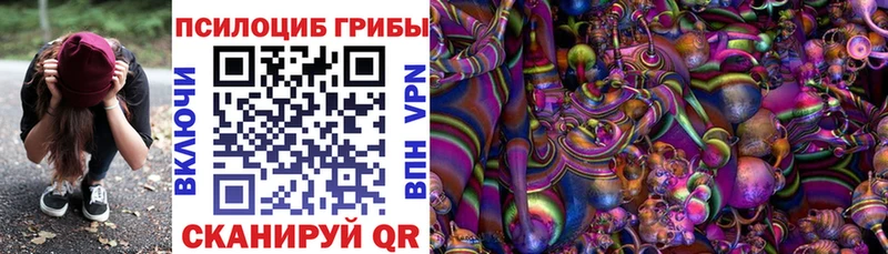 Псилоцибиновые грибы ЛСД Тула