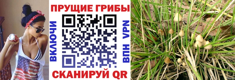 Галлюциногенные грибы мухоморы  Тула 