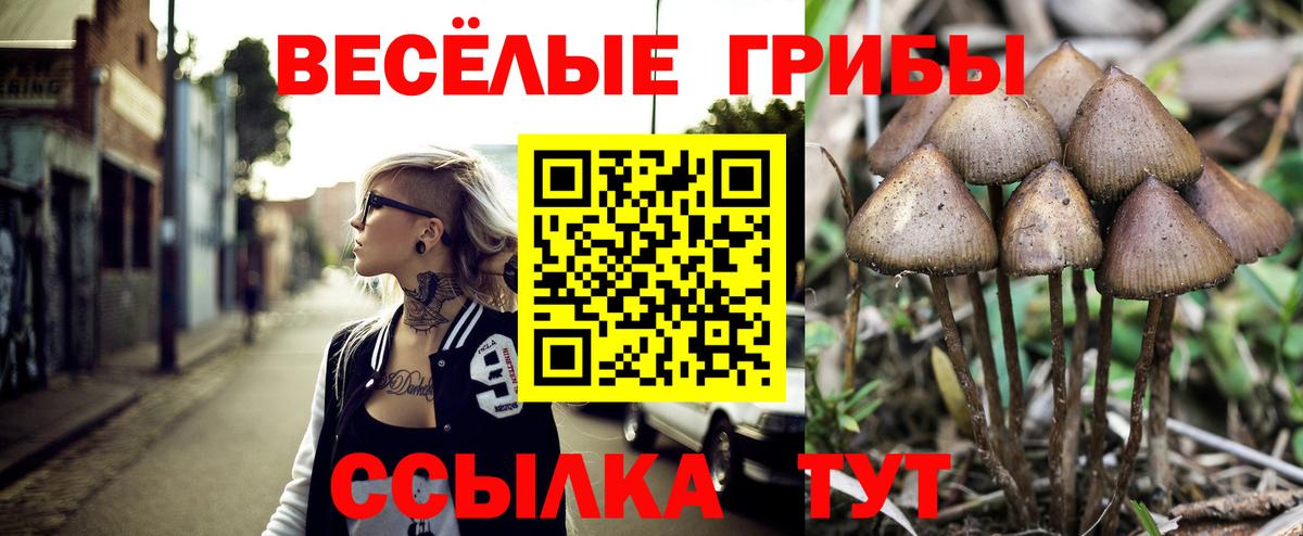 Псилоцибиновые грибы прущие грибы  Вход с VPN  Тула 