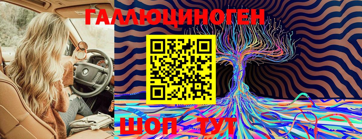 Галлюциногенные грибы Cubensis Тула